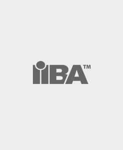 IIBA Core Business Analysis Certifications