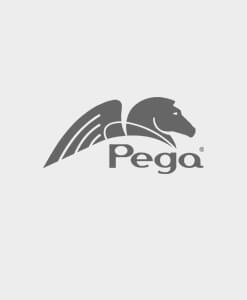 Pegasystems Certified Senior System Architect