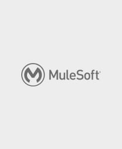 MuleSoft Developer